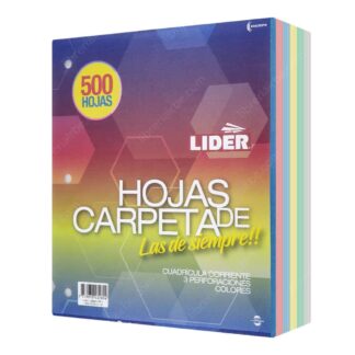 Paquete 500 Hojas de Carpeta de 3 Orificios con Cuadrícula 5 mm LIDER – Multicolor